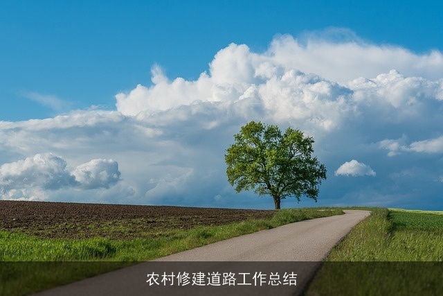 农村修建道路工作总结