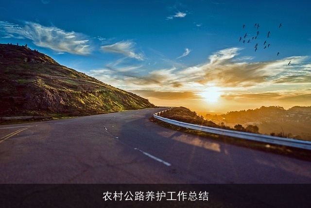 农村公路养护工作总结