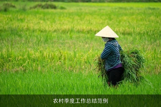 农村季度工作总结范例