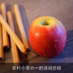农村小学六一的活动总结