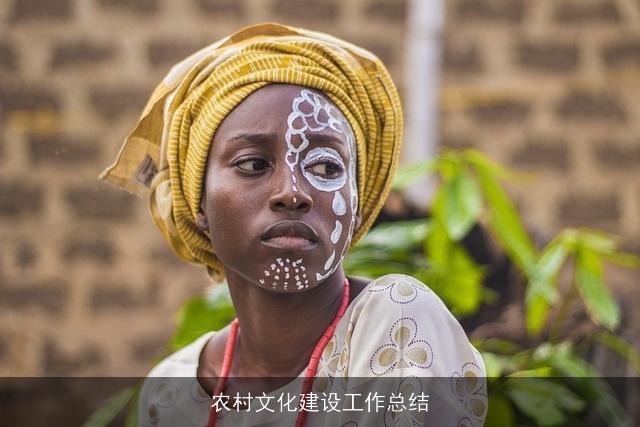 农村文化建设工作总结