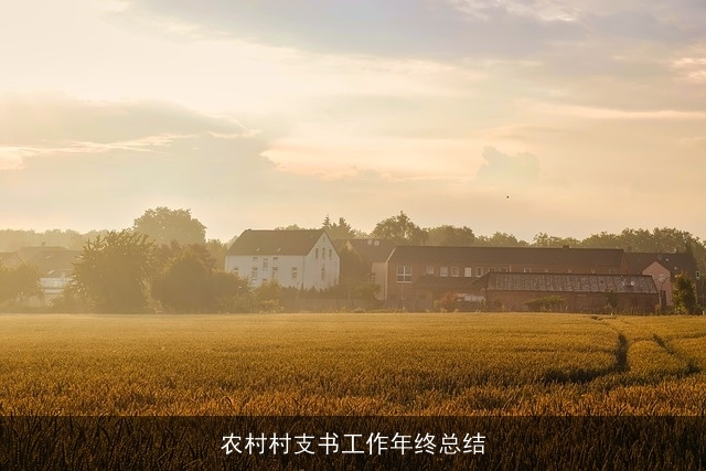 农村村支书工作年终总结