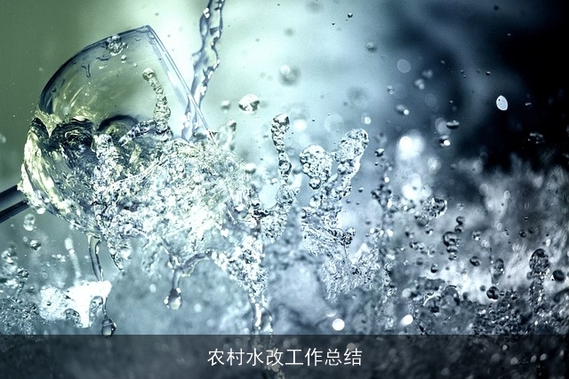 农村水改工作总结