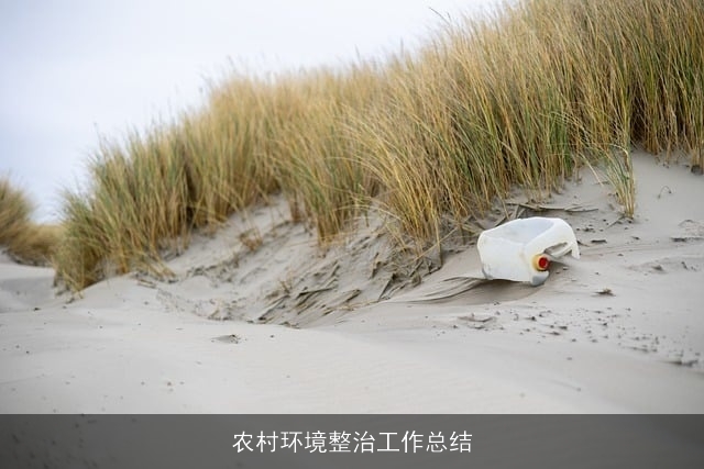 农村环境整治工作总结