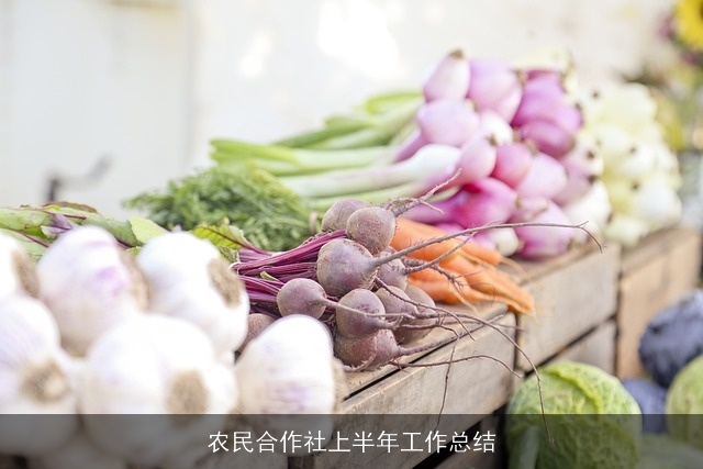 农民合作社上半年工作总结