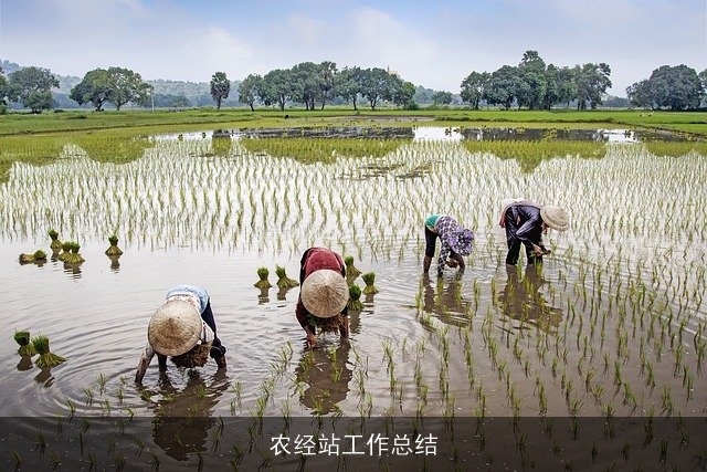 农经站工作总结