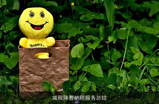 减税降费纳税服务总结