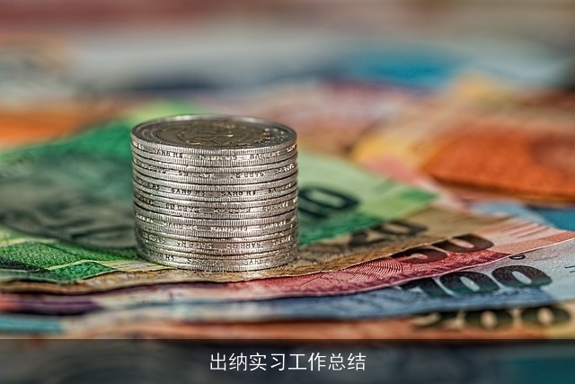 出纳实习工作总结