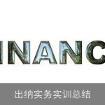 出纳实务实训总结