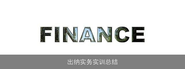 出纳实务实训总结