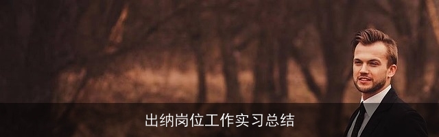 出纳岗位工作实习总结