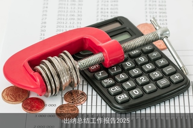 出纳总结工作报告2025