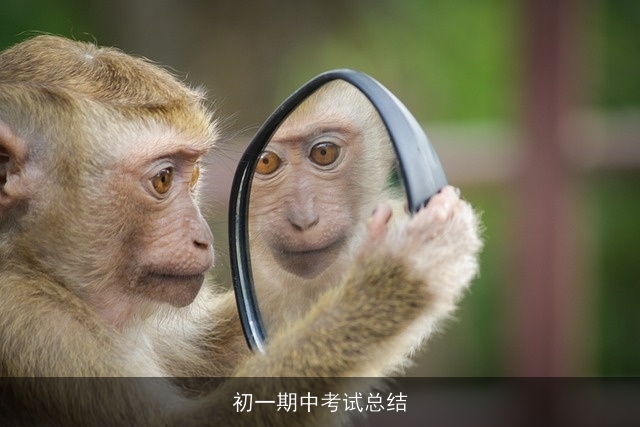 初一期中考试总结