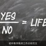 初中数学教师工作总结范文