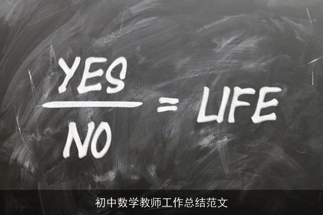 初中数学教师工作总结范文