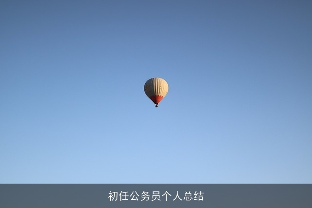 初任公务员个人总结