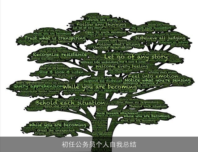 初任公务员个人自我总结