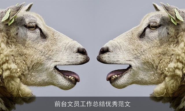 前台文员工作总结优秀范文