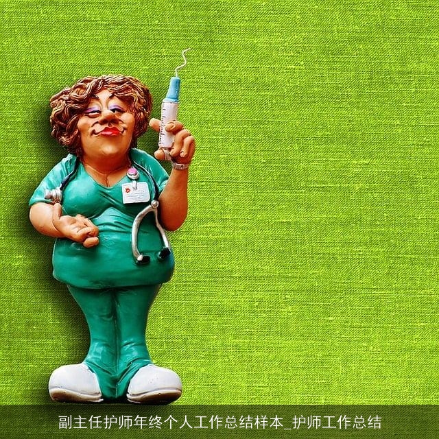 副主任护师年终个人工作总结样本_护师工作总结