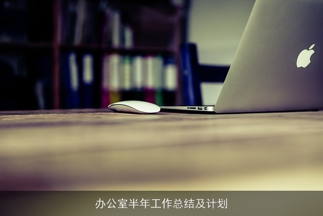 办公室半年工作总结及计划
