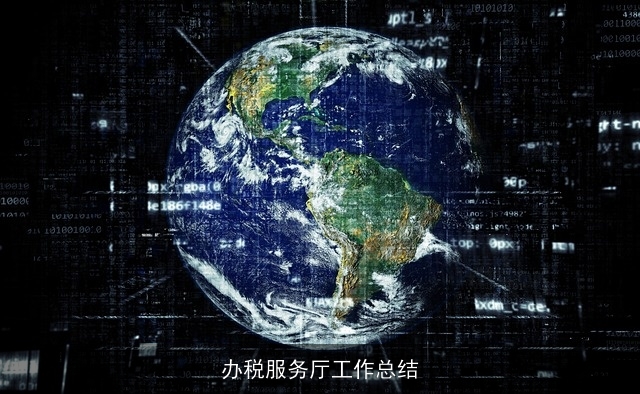 办税服务厅工作总结