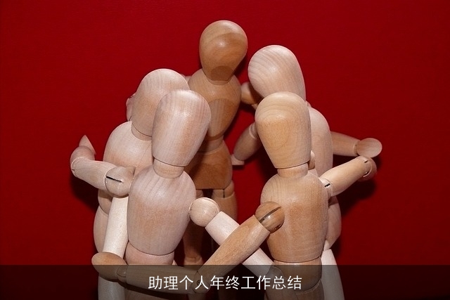 助理个人年终工作总结