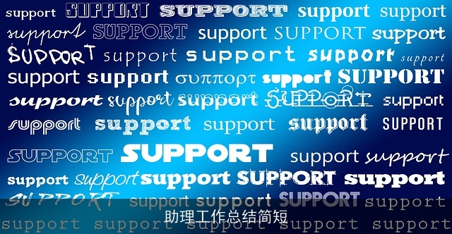 助理工作总结简短