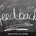 助理试用期工作总结模板