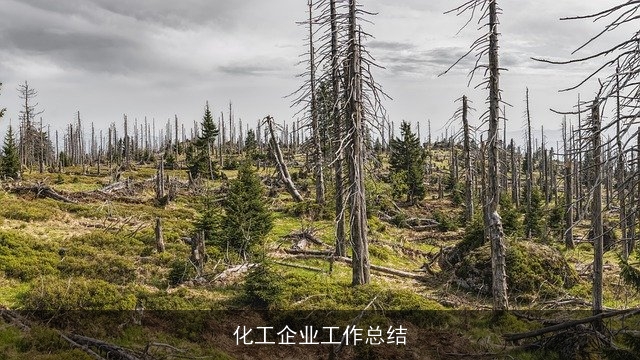 化工企业工作总结