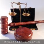 区司法局的年度工作总结_司法工作总结
