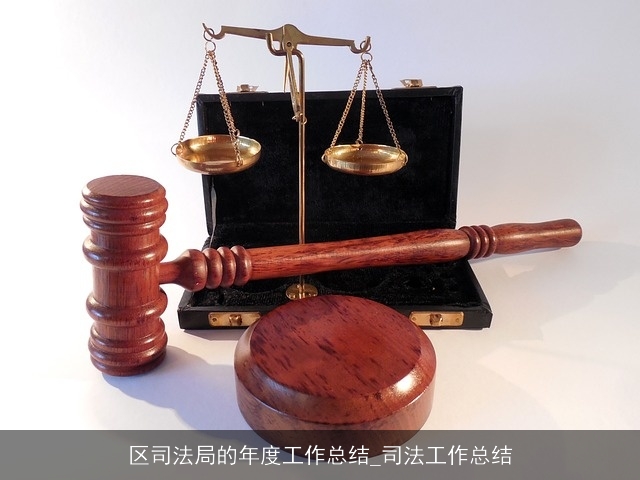 区司法局的年度工作总结_司法工作总结