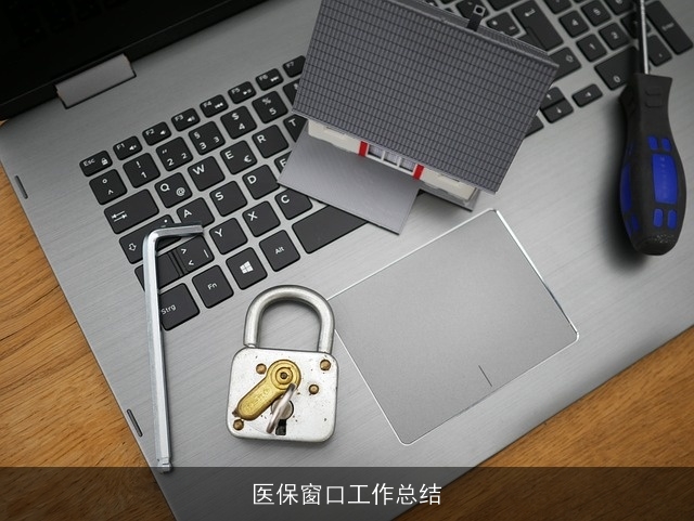 医保窗口工作总结