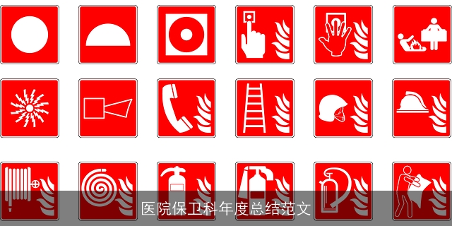 医院保卫科年度总结范文