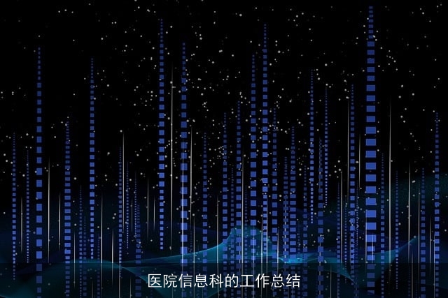 医院信息科的工作总结