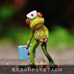 医院急诊科护士年度个人总结