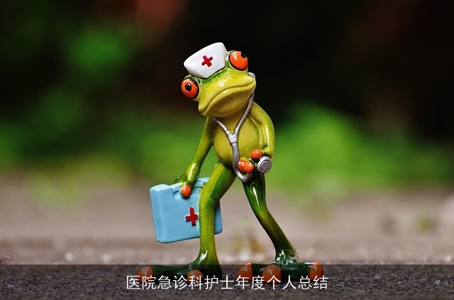 医院急诊科护士年度个人总结