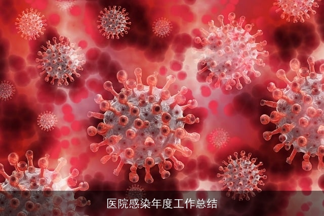 医院感染年度工作总结