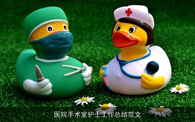 医院手术室护士工作总结范文