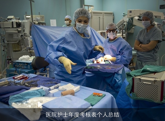 医院护士年度考核表个人总结