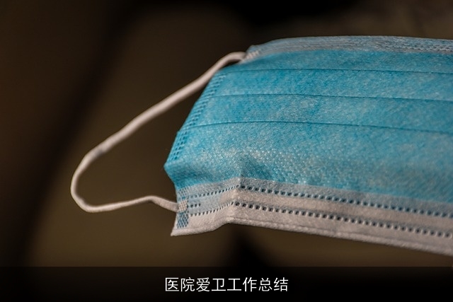 医院爱卫工作总结