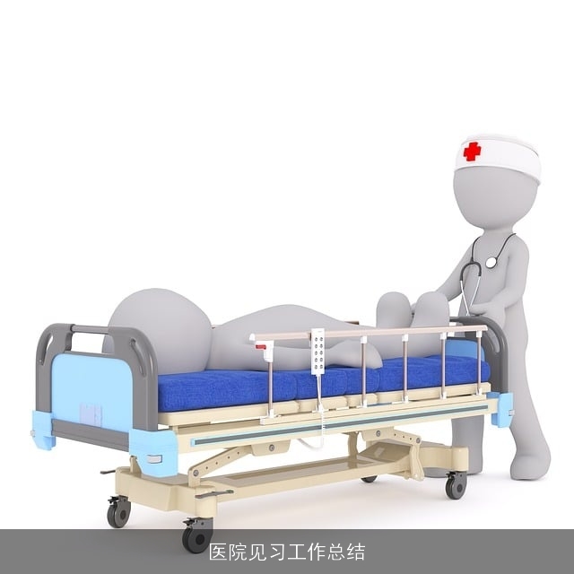 医院见习工作总结