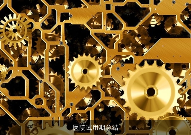 医院试用期总结