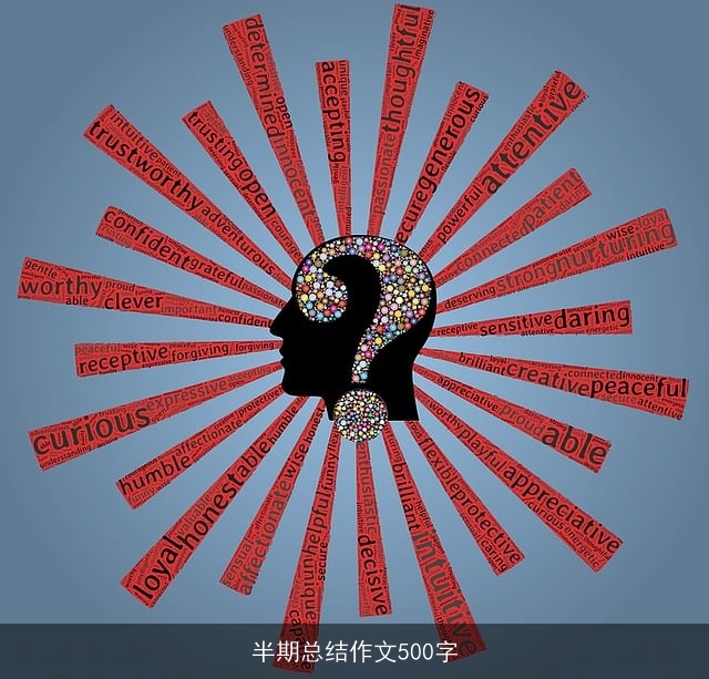 半期总结作文500字