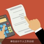 单位会计个人工作总结