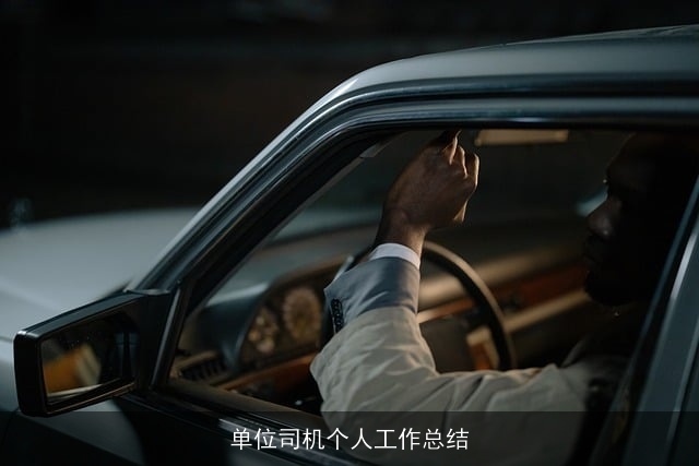 单位司机个人工作总结