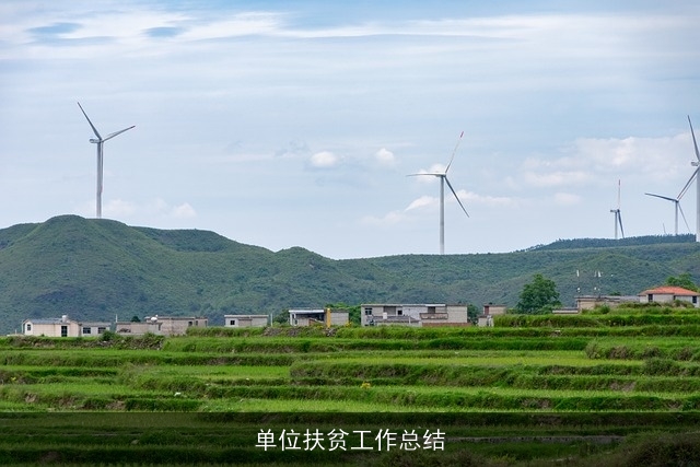 单位扶贫工作总结