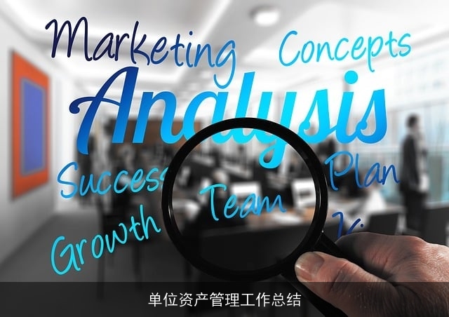 单位资产管理工作总结