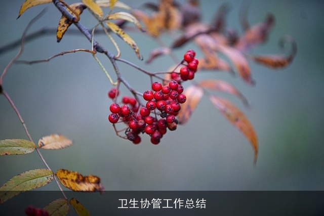 卫生协管工作总结