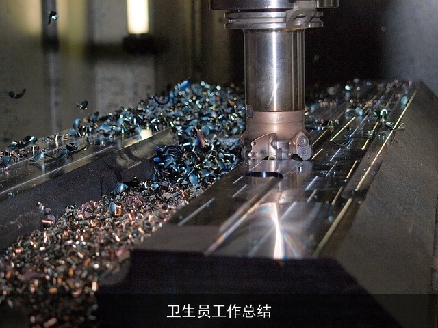 卫生员工作总结
