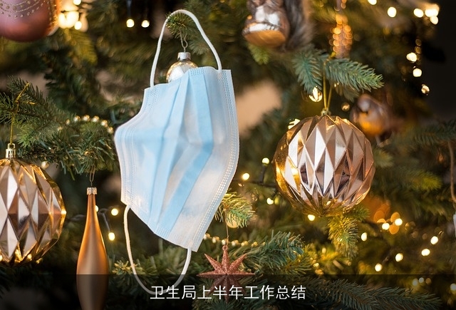 卫生局上半年工作总结